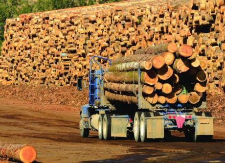 Cơ hội nào cho gỗ xuất khẩu của Việt Nam?